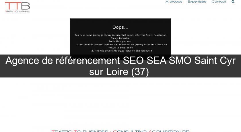 Agence de référencement SEO SEA SMO Saint Cyr sur Loire (37) 