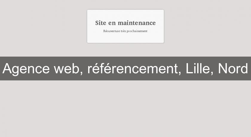 Agence web, référencement, Lille, Nord