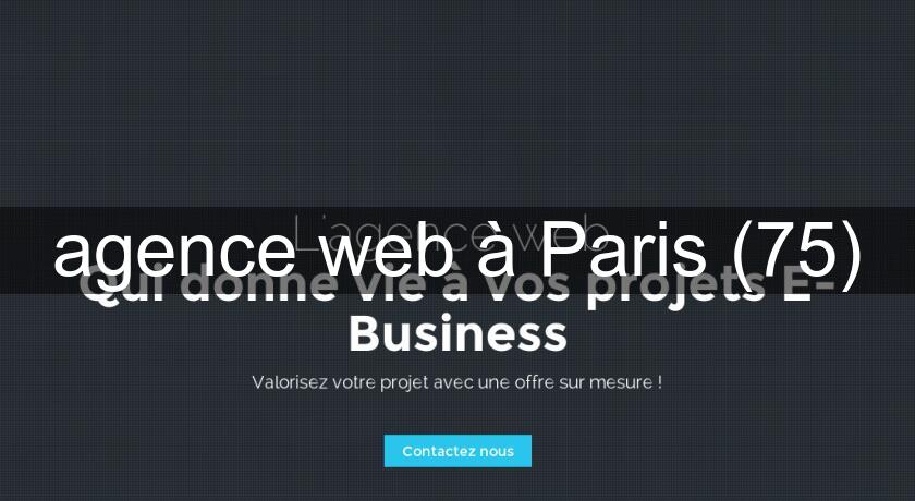 agence web à Paris (75) agence web à Paris (75)