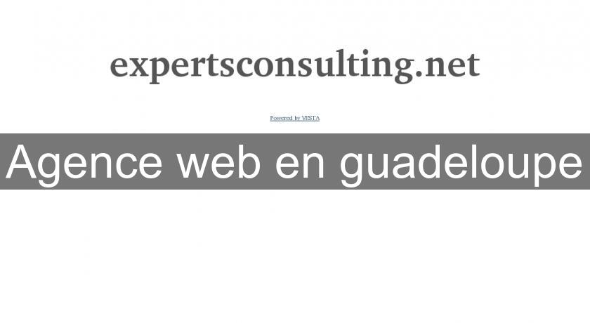 Agence web en guadeloupe