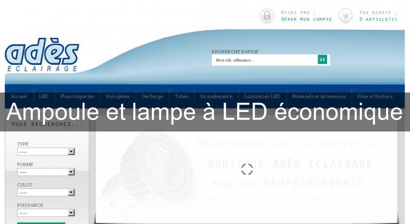 Ampoule et lampe à LED économique