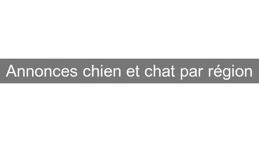 Annonces chien et chat par région