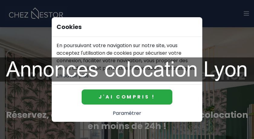 Annonces colocation Lyon Annonces colocation Lyon