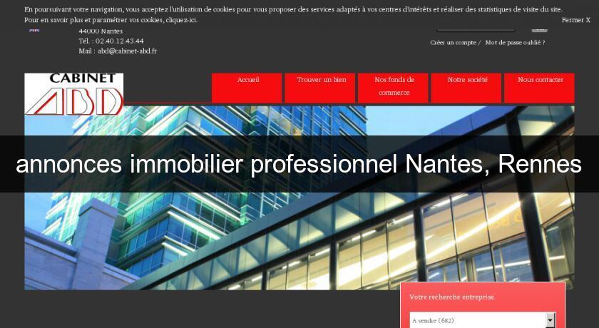 annonces immobilier professionnel Nantes, Rennes annonces immobilier professionnel Nantes, Rennes