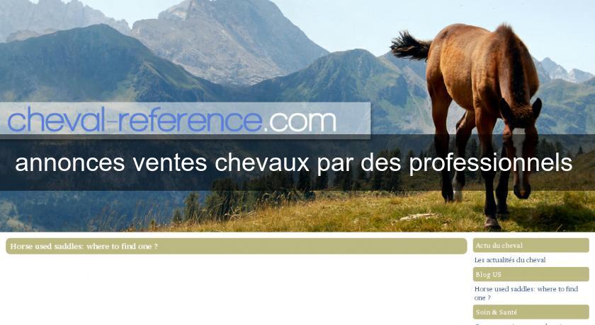 annonces ventes chevaux par des professionnels