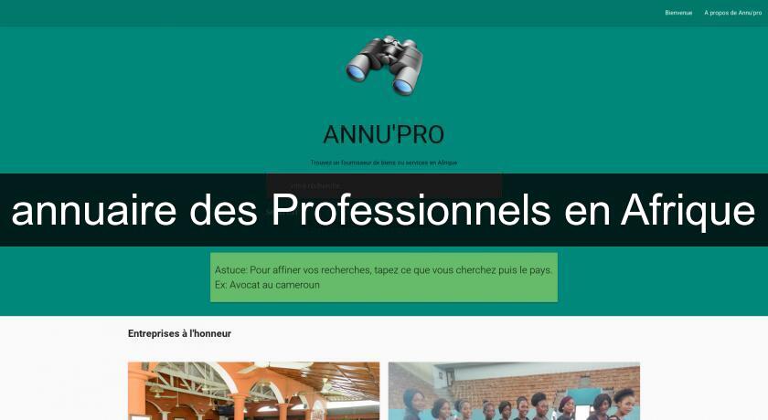 annuaire des Professionnels en Afrique