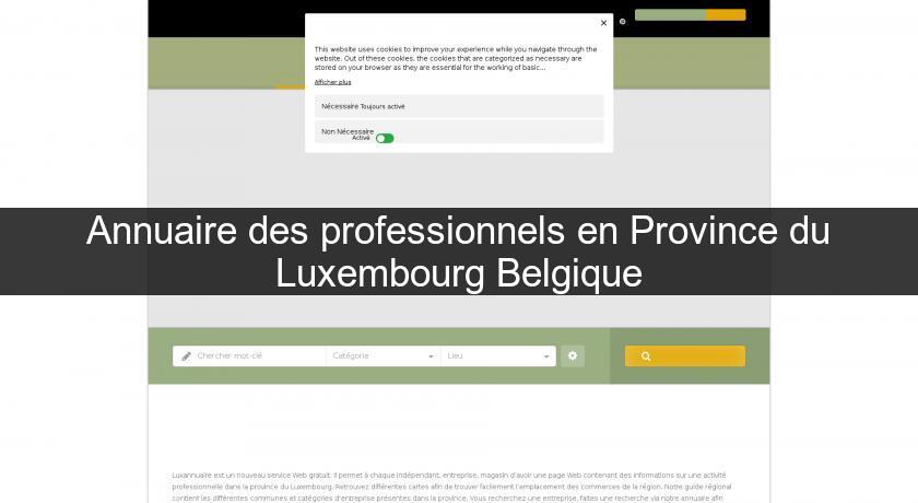 Annuaire des professionnels en Province du Luxembourg Belgique