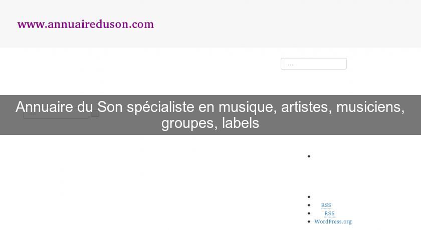 Annuaire du Son spécialiste en musique, artistes, musiciens, groupes, labels Annuaire du Son spécialiste en musique, artistes, musiciens, groupes, labels