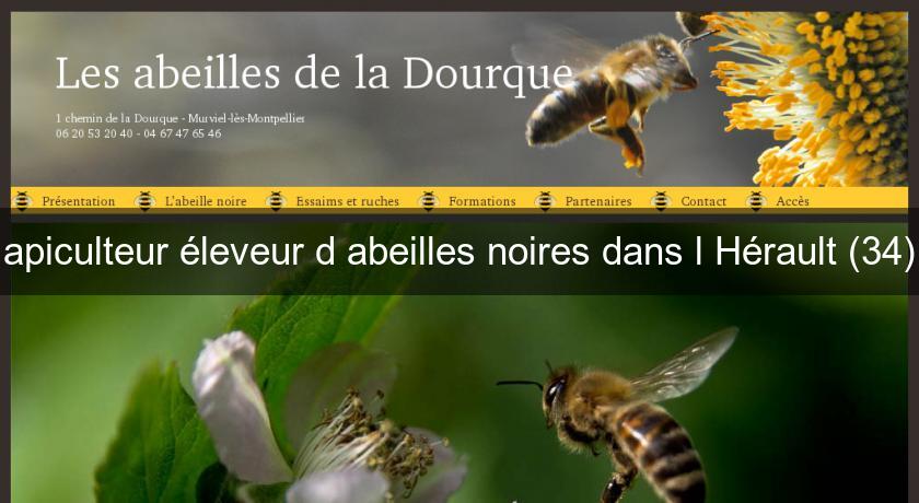 apiculteur éleveur d'abeilles noires dans l'Hérault (34) apiculteur éleveur d'abeilles noires dans l'Hérault (34)