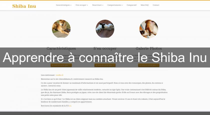 Apprendre à connaître le Shiba Inu Apprendre à connaître le Shiba Inu
