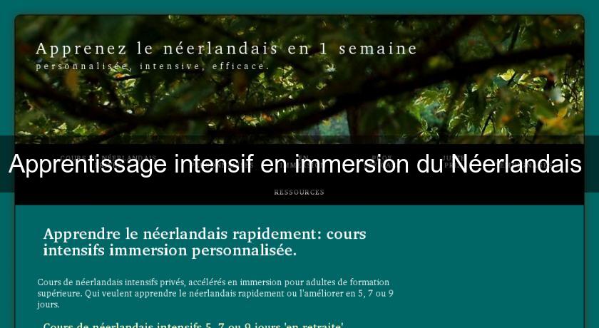 Apprentissage intensif en immersion du Néerlandais Apprentissage intensif en immersion du Néerlandais