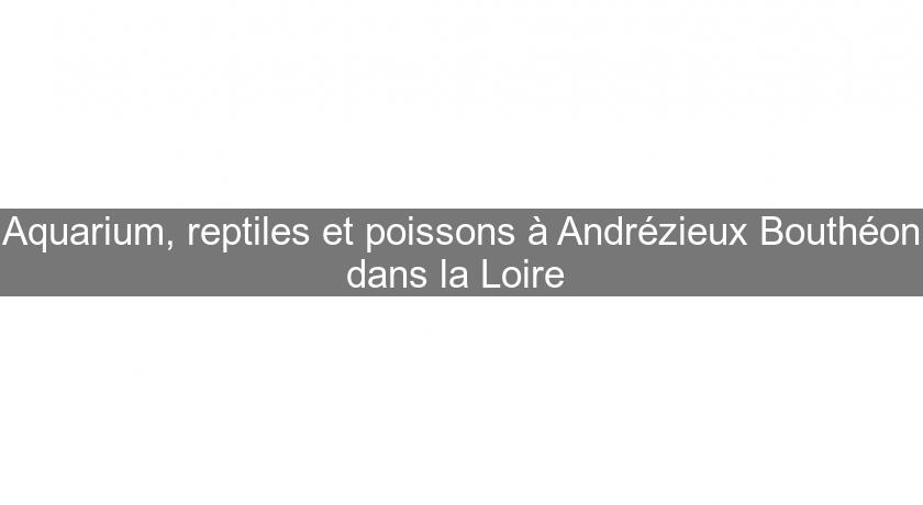 Aquarium, reptiles et poissons à Andrézieux Bouthéon dans la Loire 