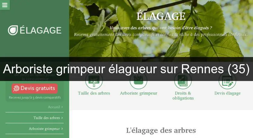 Arboriste grimpeur élagueur sur Rennes (35)