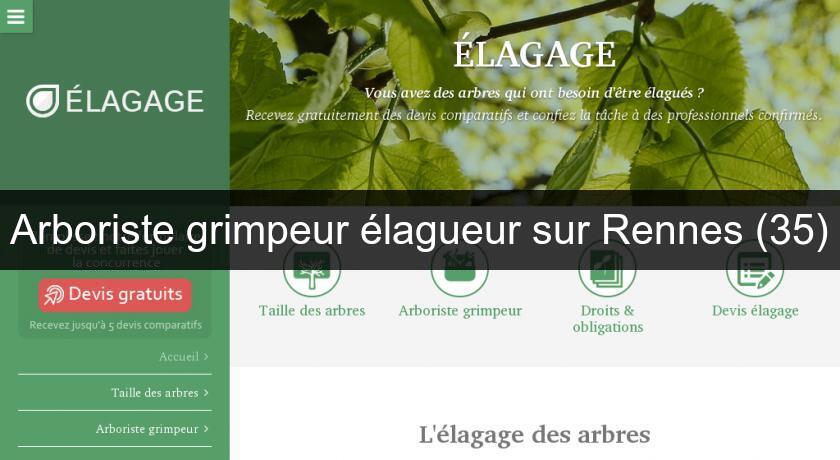 Arboriste grimpeur élagueur sur Rennes (35) Arboriste grimpeur élagueur sur Rennes (35)