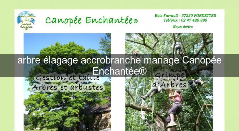arbre élagage accrobranche mariage Canopée Enchantée®