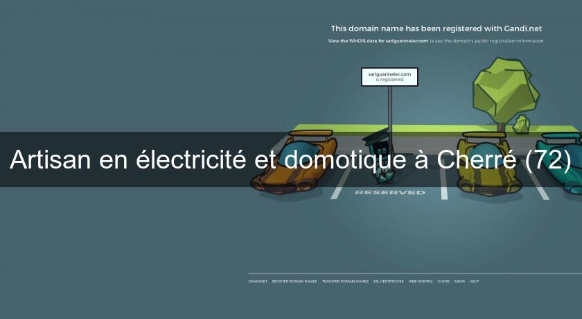 Artisan en électricité et domotique à Cherré (72)