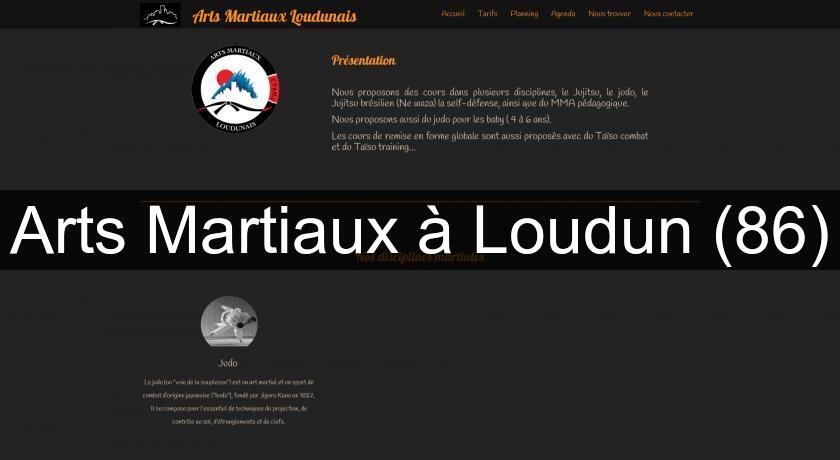 Arts Martiaux à Loudun (86)