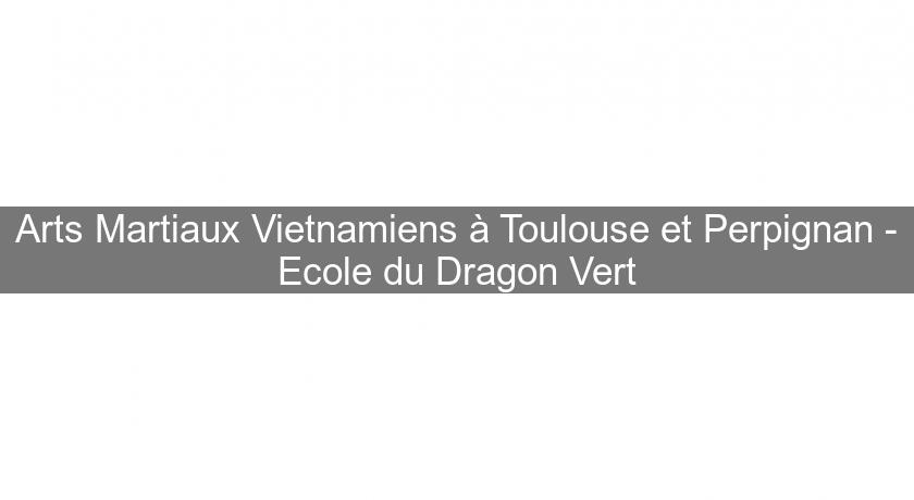 Arts Martiaux Vietnamiens à Toulouse et Perpignan - Ecole du Dragon Vert Arts Martiaux Vietnamiens à Toulouse et Perpignan - Ecole du Dragon Vert