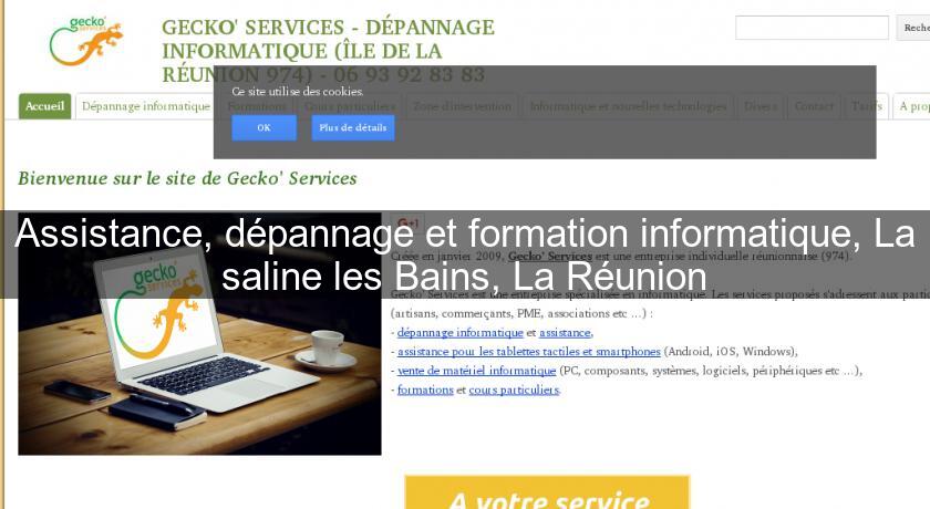 Assistance, dépannage et formation informatique, La saline les Bains, La Réunion Assistance, dépannage et formation informatique, La saline les Bains, La Réunion
