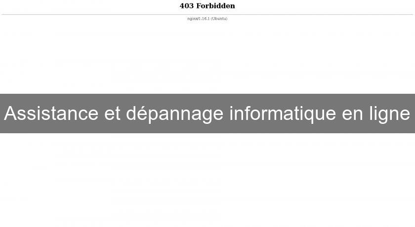 Assistance et dépannage informatique en ligne