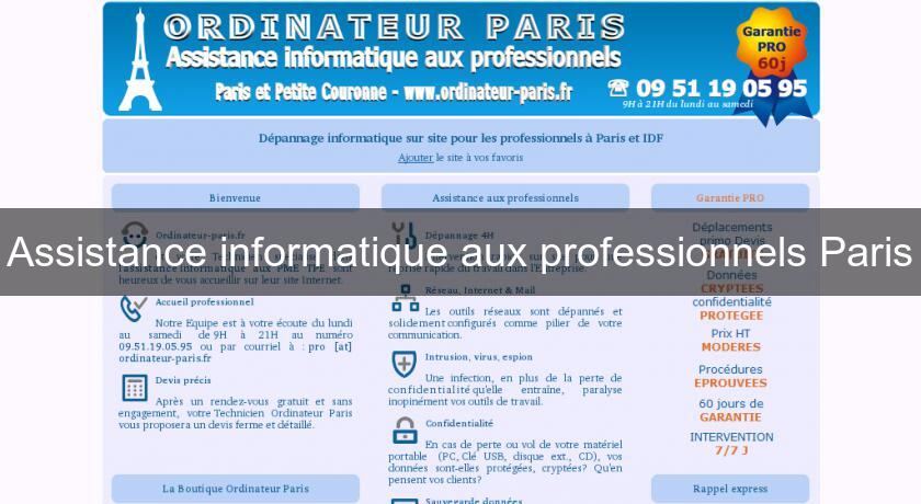 Assistance informatique aux professionnels Paris