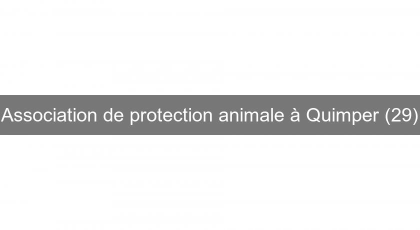 Association de protection animale à Quimper (29)