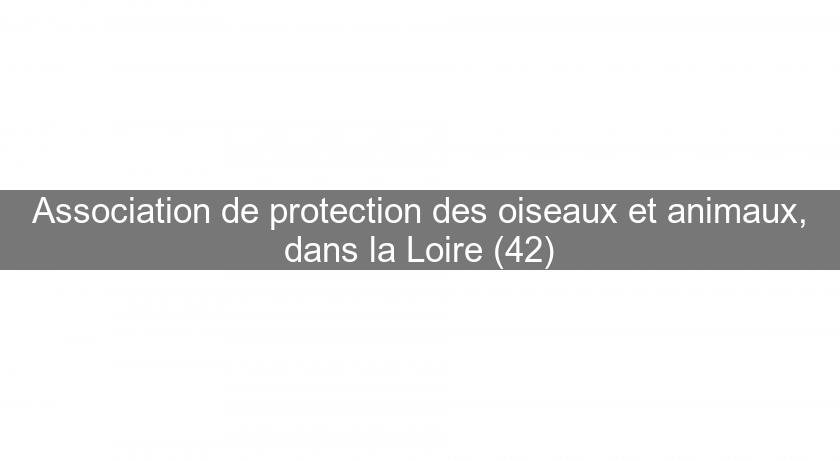 Association de protection des oiseaux et animaux, dans la Loire (42)