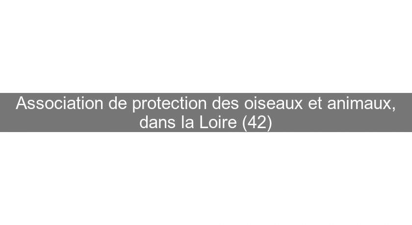 Association de protection des oiseaux et animaux, dans la Loire (42) Association de protection des oiseaux et animaux, dans la Loire (42)