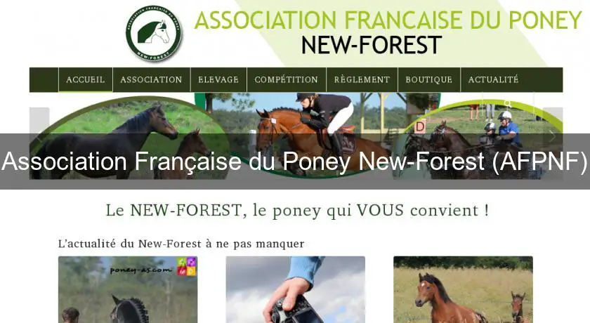 Association Française du Poney New-Forest (AFPNF)