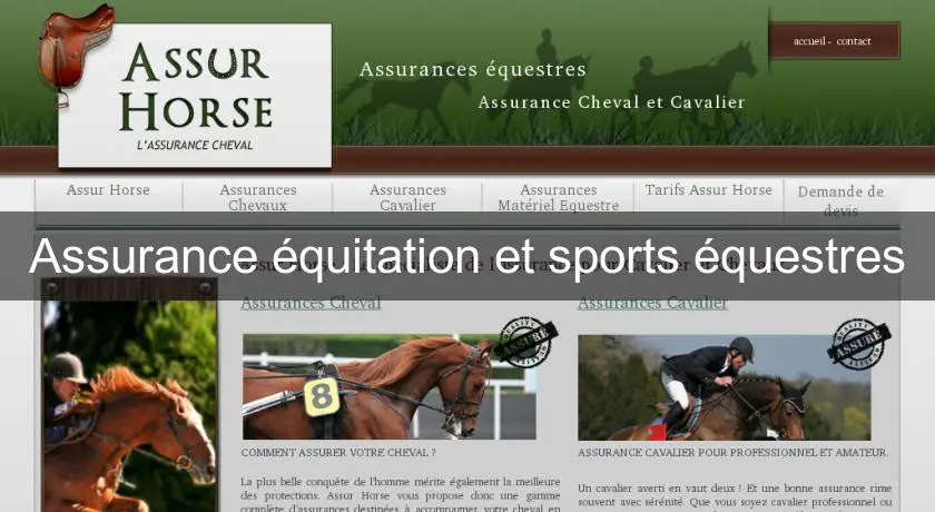 Assurance équitation et sports équestres