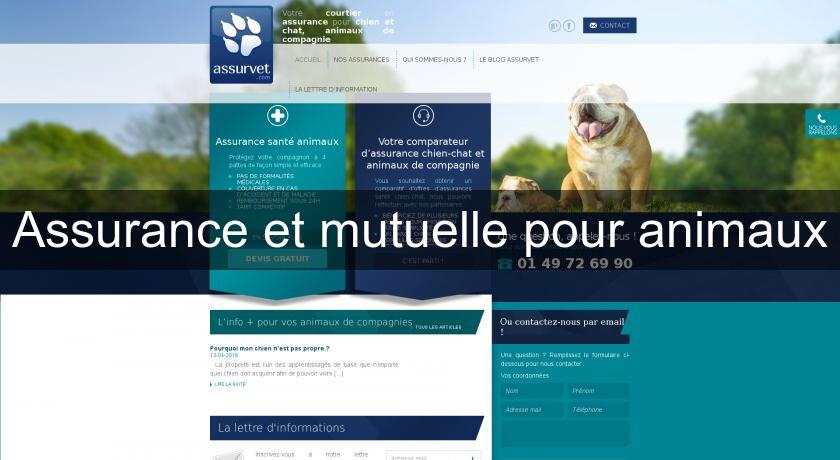 Assurance et mutuelle pour animaux