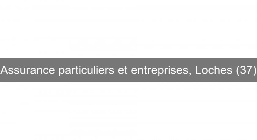Assurance particuliers et entreprises, Loches (37) Assurance particuliers et entreprises, Loches (37)