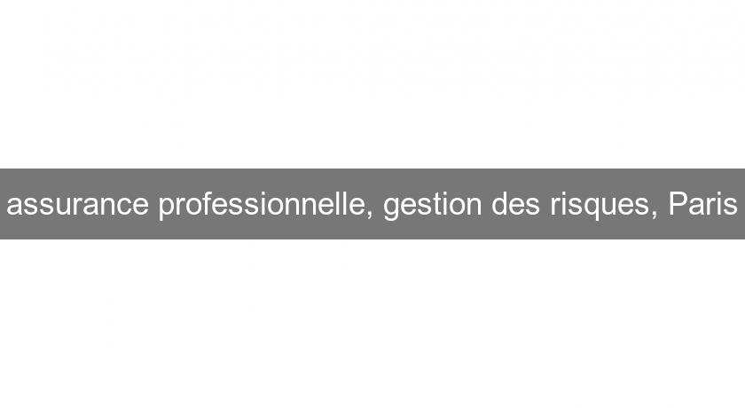 assurance professionnelle, gestion des risques, Paris