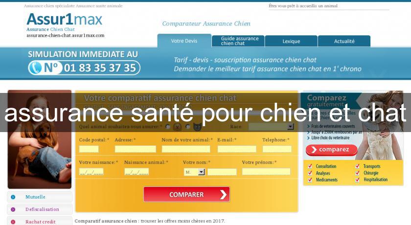 assurance santé pour chien et chat assurance santé pour chien et chat