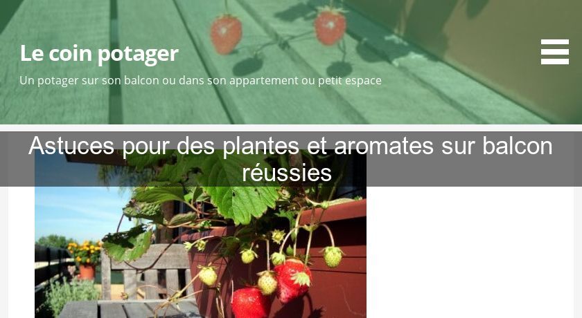Astuces pour des plantes et aromates sur balcon réussies Astuces pour des plantes et aromates sur balcon réussies