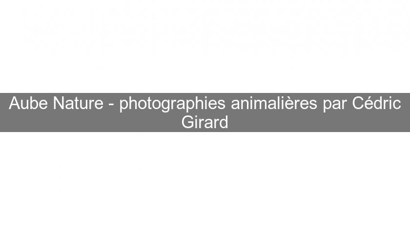 Aube Nature - photographies animalières par Cédric Girard