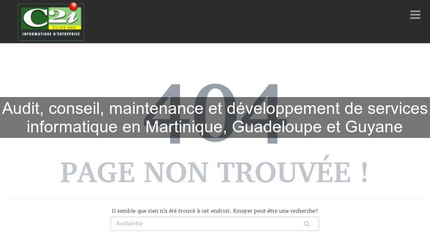 Audit, conseil, maintenance et développement de services informatique en Martinique, Guadeloupe et Guyane