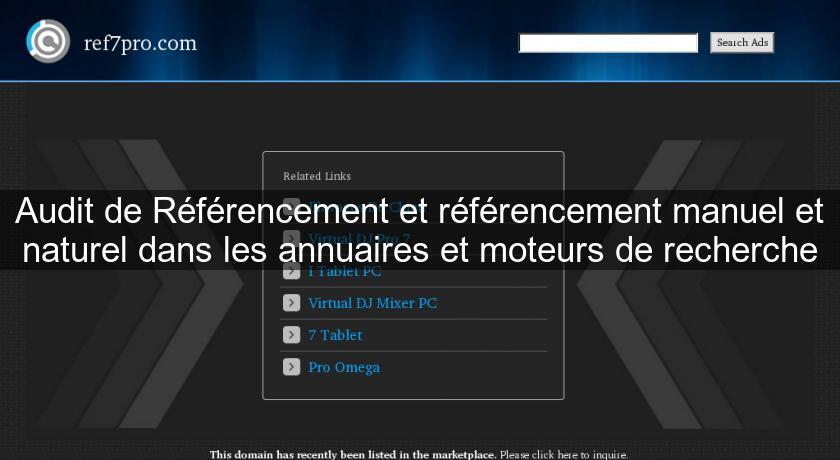 Audit de Référencement et référencement manuel et naturel dans les annuaires et moteurs de recherche