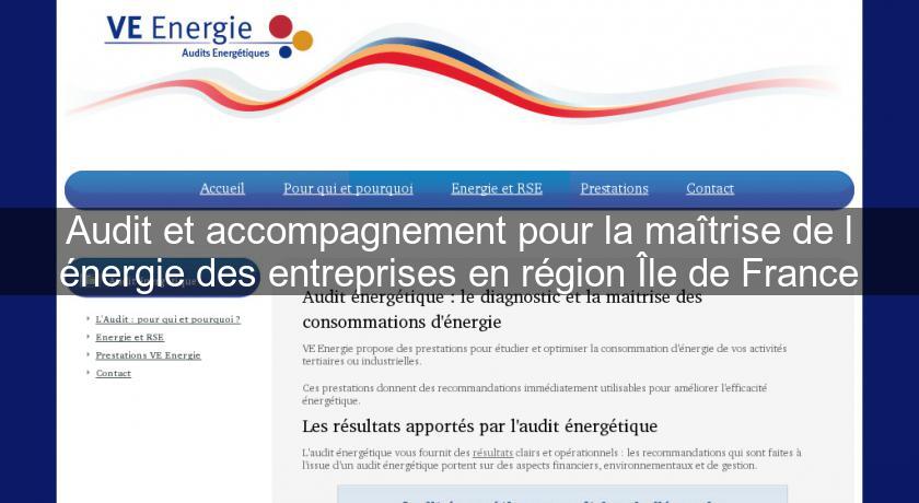 Audit et accompagnement pour la maîtrise de l'énergie des entreprises en région Île de France Audit et accompagnement pour la maîtrise de l'énergie des entreprises en région Île de France