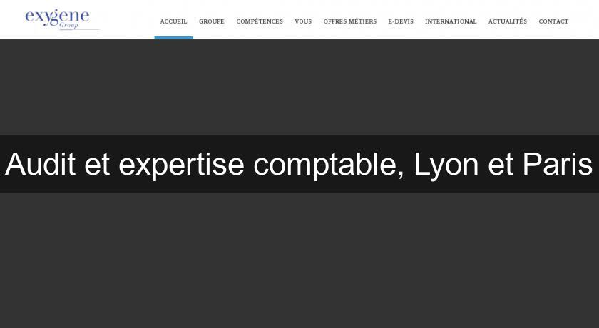 Audit et expertise comptable, Lyon et Paris
