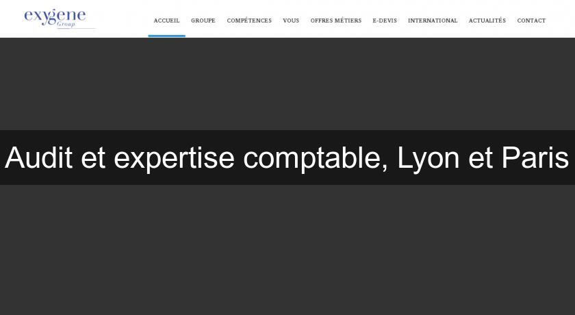 Audit et expertise comptable, Lyon et Paris Audit et expertise comptable, Lyon et Paris