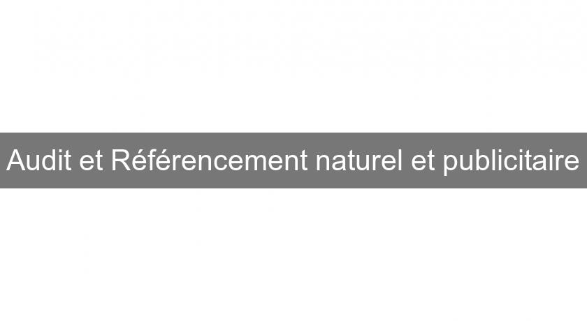 Audit et Référencement naturel et publicitaire Audit et Référencement naturel et publicitaire