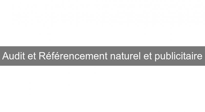 Audit et Référencement naturel et publicitaire