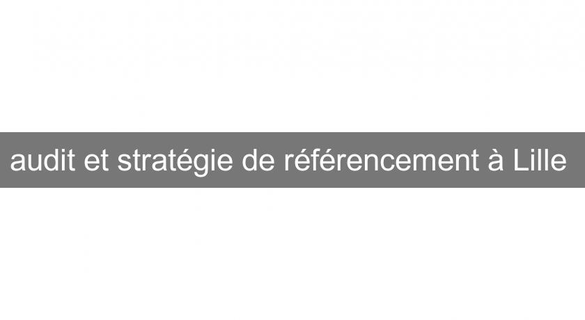 audit et stratégie de référencement à Lille 