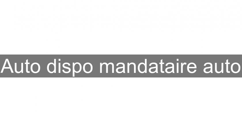 Auto dispo mandataire auto Auto dispo mandataire auto