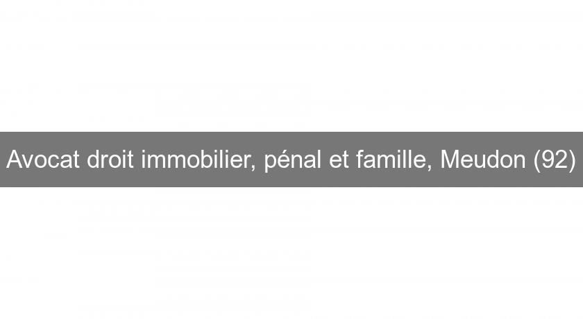 Avocat droit immobilier, pénal et famille, Meudon (92) Avocat droit immobilier, pénal et famille, Meudon (92)