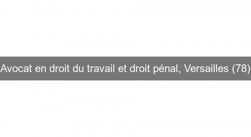 Avocat en droit du travail et droit pénal, Versailles (78)