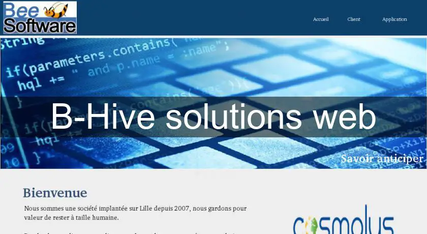 B-Hive solutions web