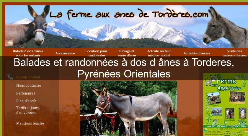 Balades et randonnées à dos d'ânes à Torderes, Pyrénées Orientales Balades et randonnées à dos d'ânes à Torderes, Pyrénées Orientales