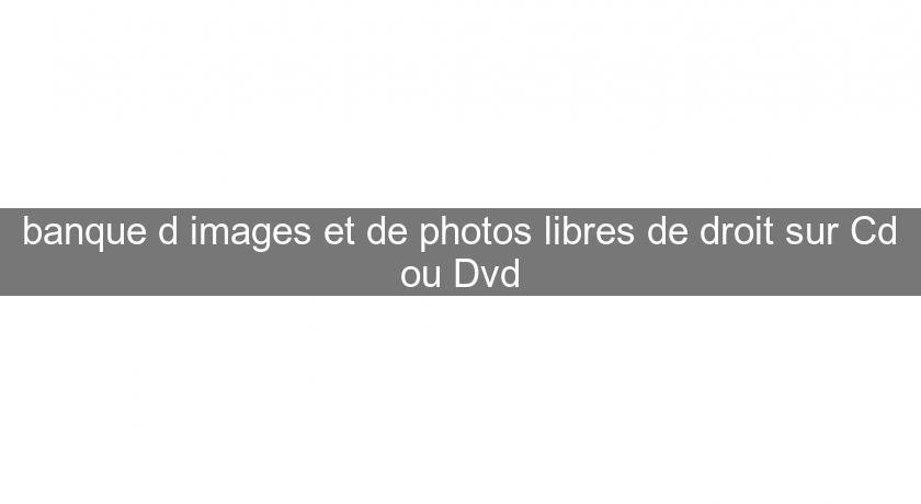 banque d'images et de photos libres de droit sur Cd ou Dvd banque d'images et de photos libres de droit sur Cd ou Dvd